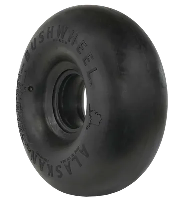 351510.R1_Alaskan_Bushwheel_Airstreak_ 35