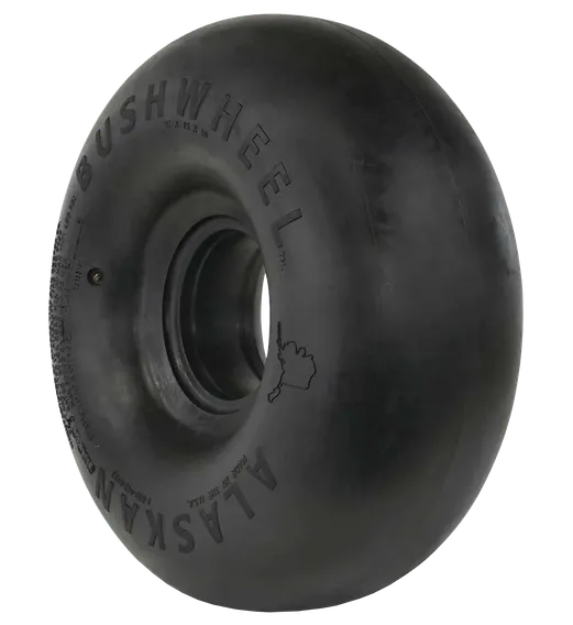 351510.R1_Alaskan_Bushwheel_Airstreak_ 35