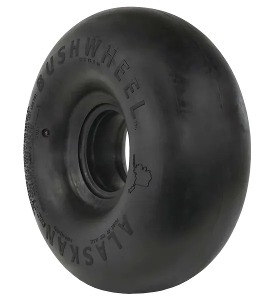 351510.R1_Alaskan_Bushwheel_Airstreak_ 35