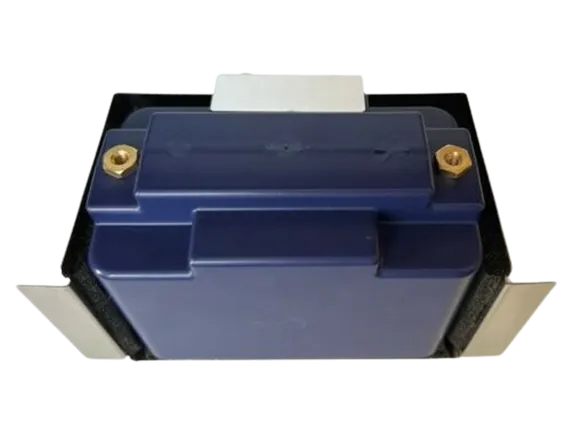 BB-TH-CO_BACK_INSTALLED_EARTH_X_BATTERIES