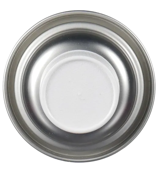 TOP_ENGINE_ENAMEL_AEROSOL_SUPERFLIGHT_APS